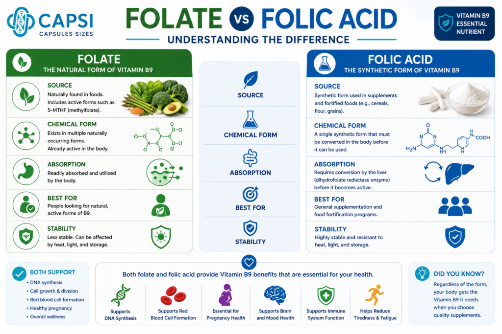 Folate vs folic acid comparison showing natural and synthetic forms of vitamin B9